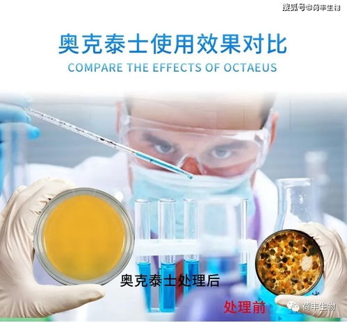 如何控制制藥廠的霉菌